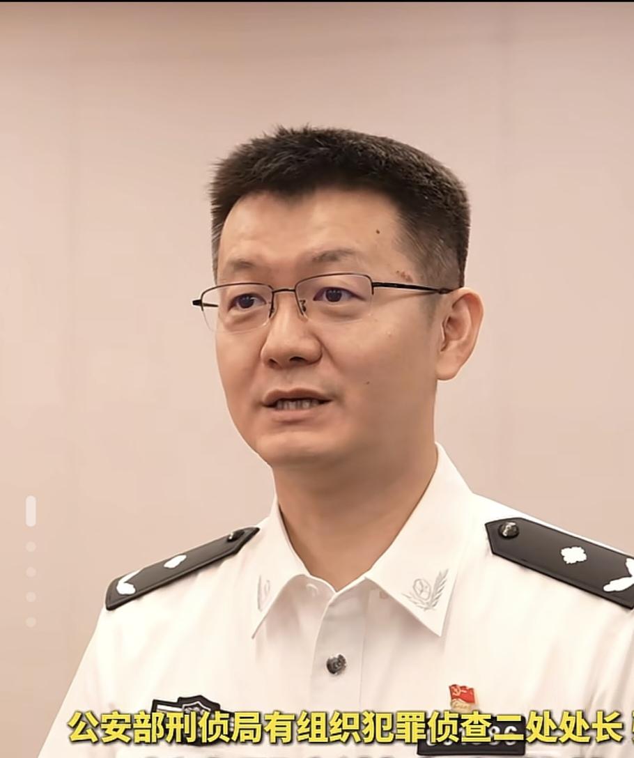 一夜之间，1000多个团伙被连根拔了公安部这回动了真格的。全国公