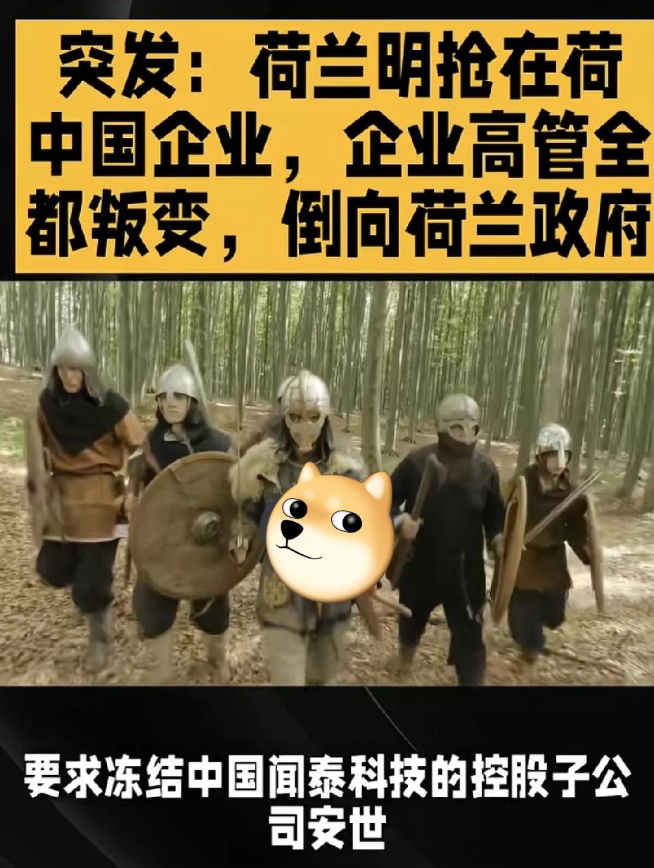 没想到，董明珠小姐那句“绝不用一个海归派”的争议言论，这两天因为闻泰科技的遭遇，