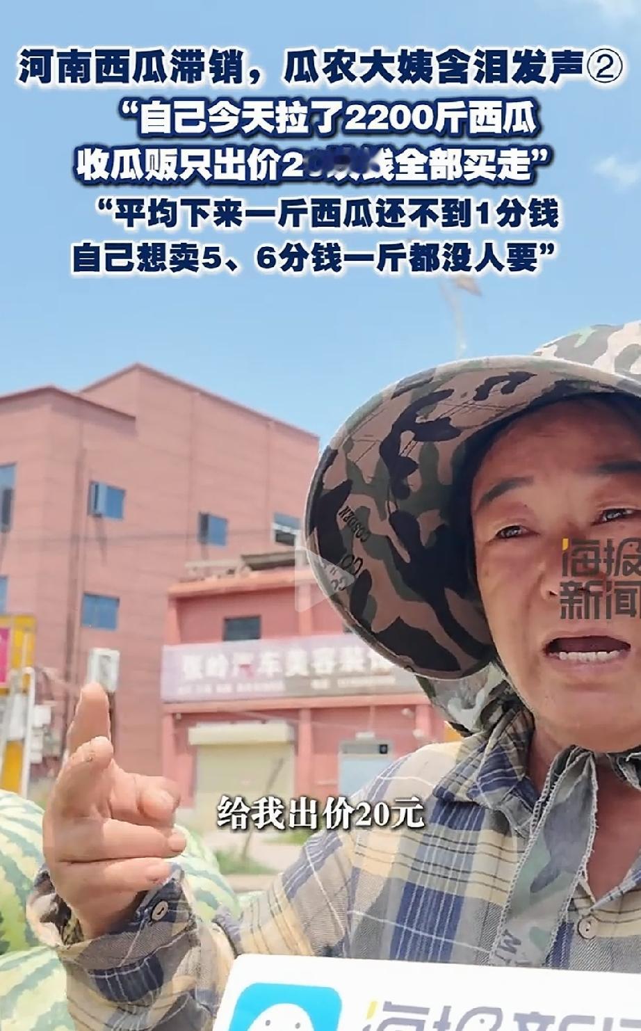 2200斤西瓜只卖20块？河南开封，瓜农刘阿姨，地里的西瓜熟了，本是应该丰收的季