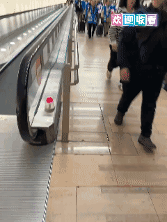 网红记者DahliaKurtz发布了一条视频，一群穿着统一蓝色以色列国旗风格背心