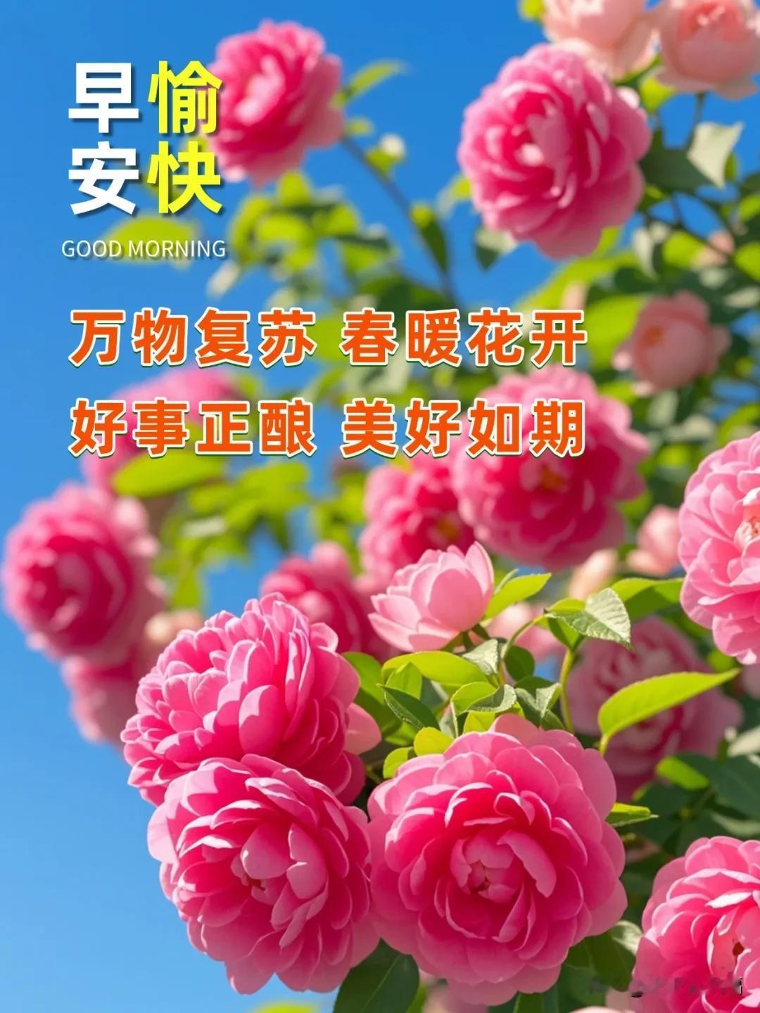 早安吉祥祝福精选图片：平安喜乐常随好运连连晨钟轻响，岁月静好。愿您今日：衣襟