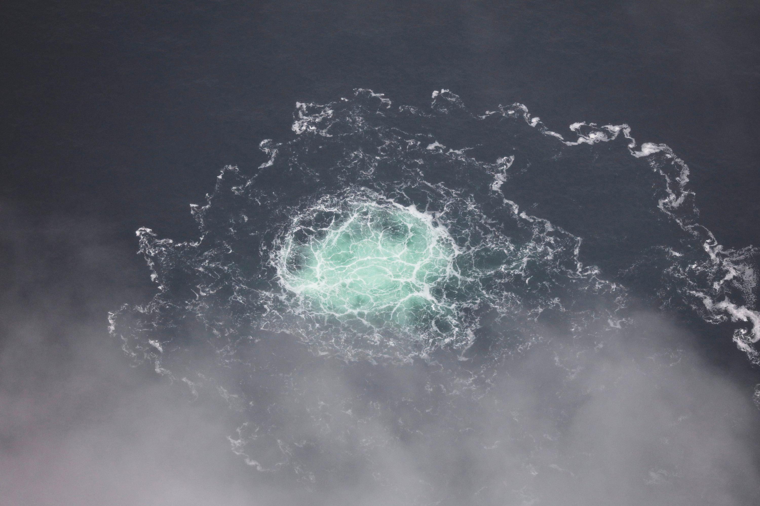 意大利最高法院放行！