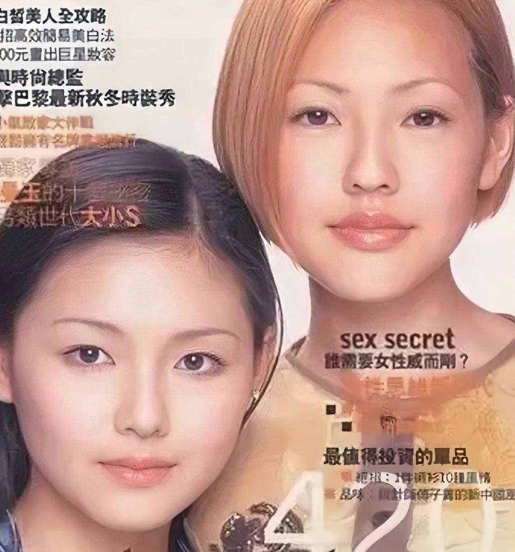 其实不难发现，单看五官细节，小S的五官整体会比姐姐大S更偏大一些，尤其是鼻头和嘴