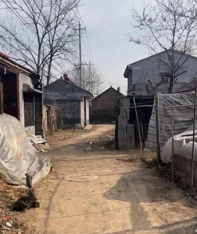 93岁的外婆断食三天了，就是没咽气。舅妈凑到她耳边，说了一句：“妈，你今天不走，