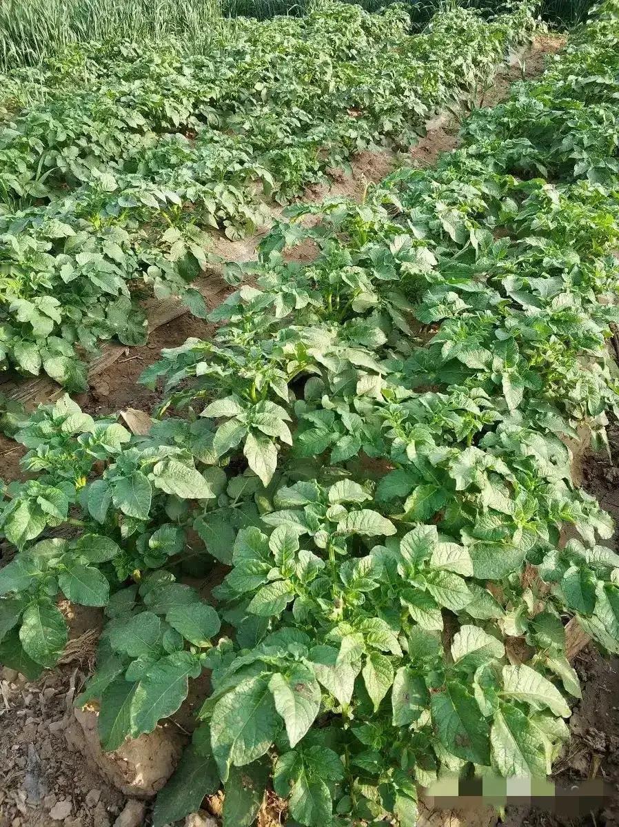 女儿今年读中职第一年，现在突然有点焦虑了！侄女“五年专”出来找工作处处碰壁！三年