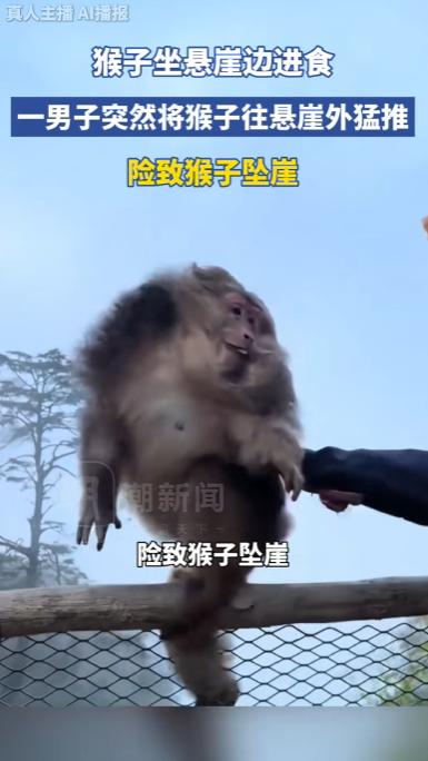 四川峨眉山，一只猴子正蹲在悬崖护栏边吃橘子，突然被一名蓝褂男子一把猛推出崖壁，猴