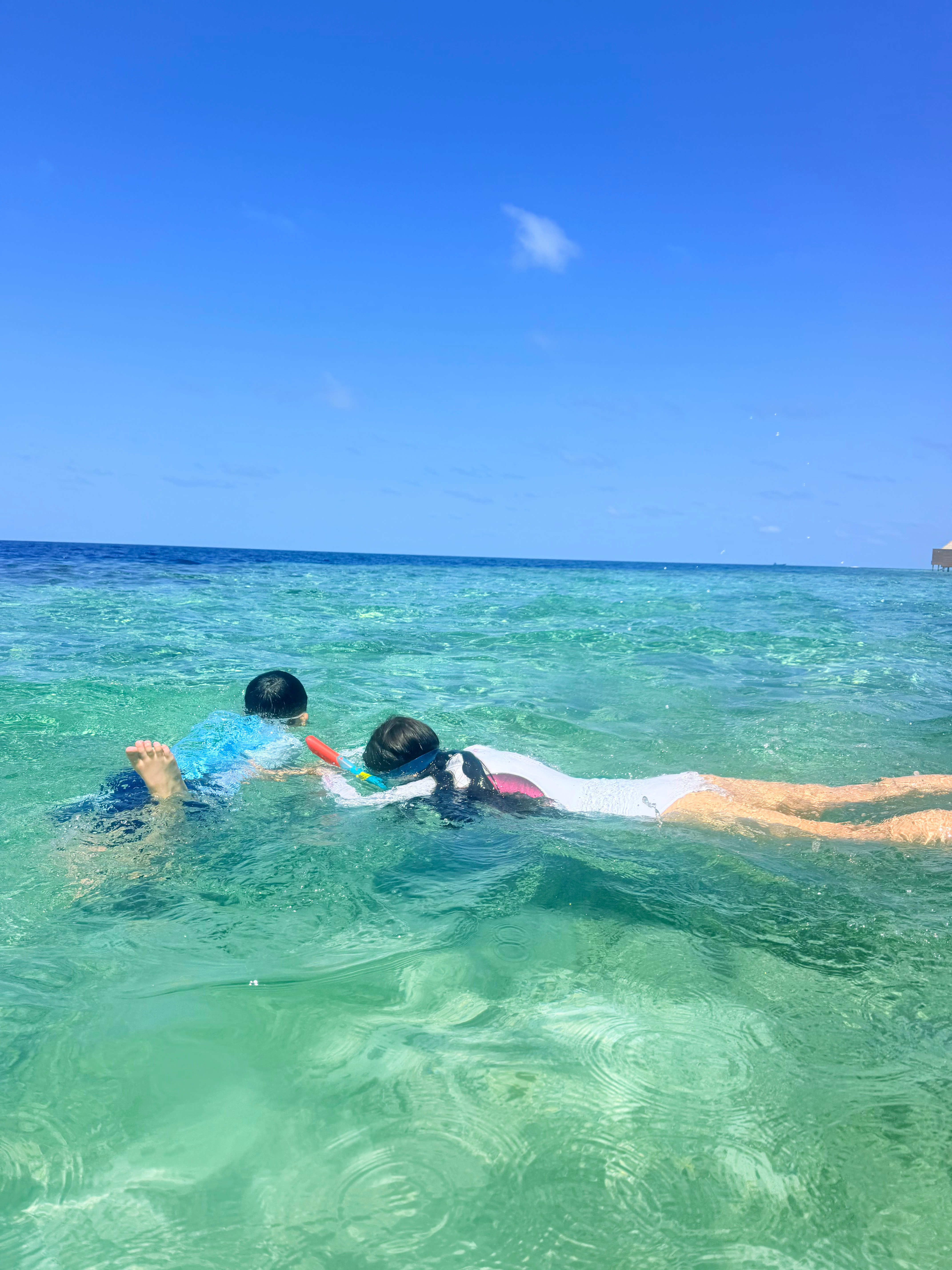 Maldivestime🫧🛶🐬浮潜、看海，收集一整个海岛的快乐🌊马尔代夫