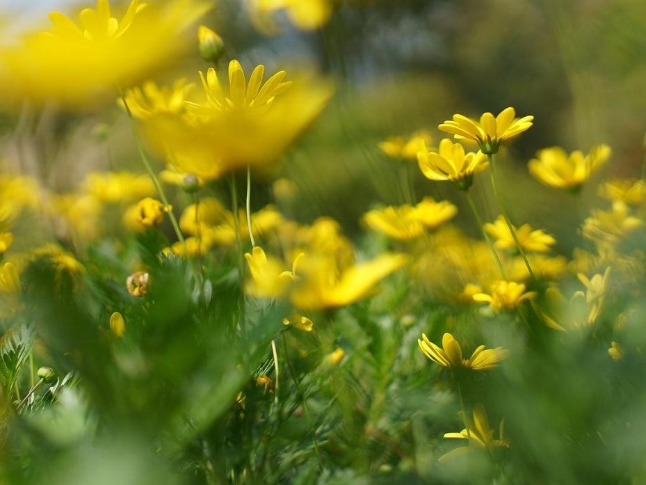 若有千万身家，我先撕开成年人的“体面枷锁”！如果有一天我真的有钱了，不会忙着买