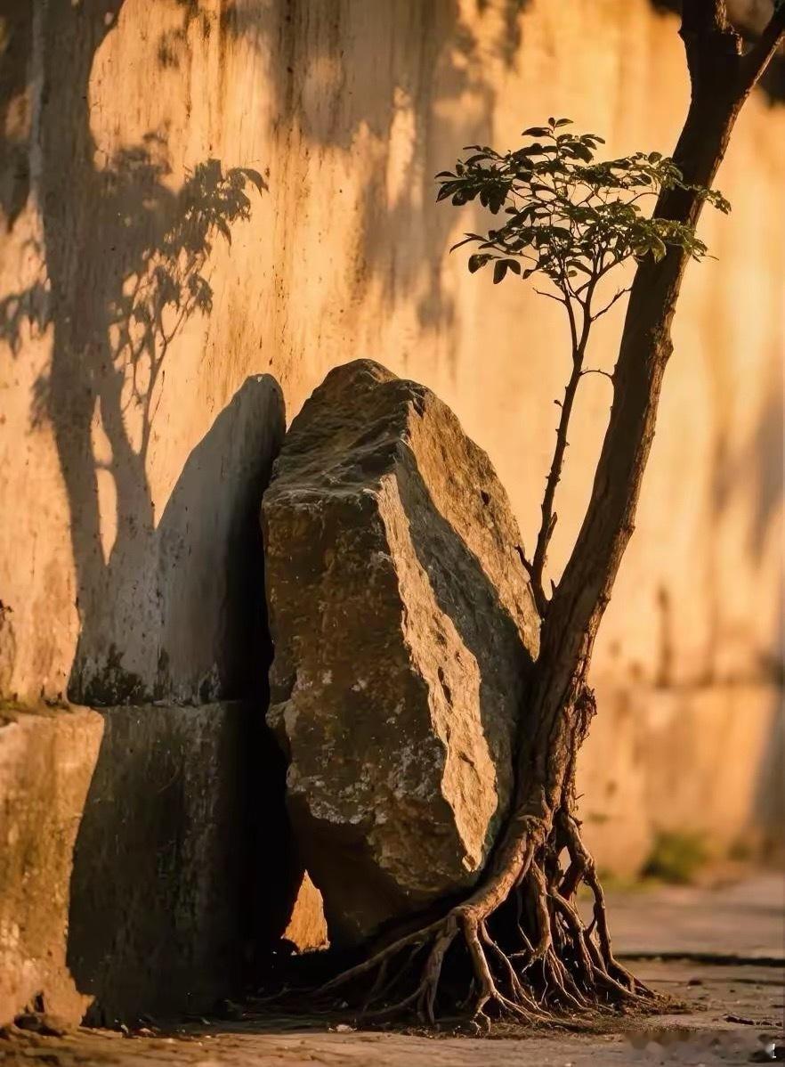 看到一段话很有感触：“20年后中国丧葬将会转变。很多独生子女对待死去的父母，基本