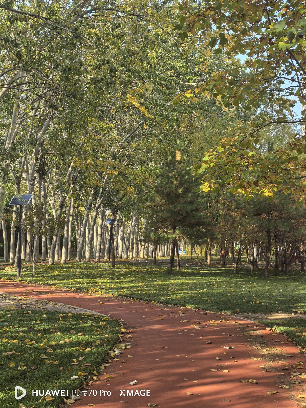 早晨出去买早点，见一位大姐做鸡蛋灌饼便要了一套。大姐干活利落，一丝不苟，一边听这