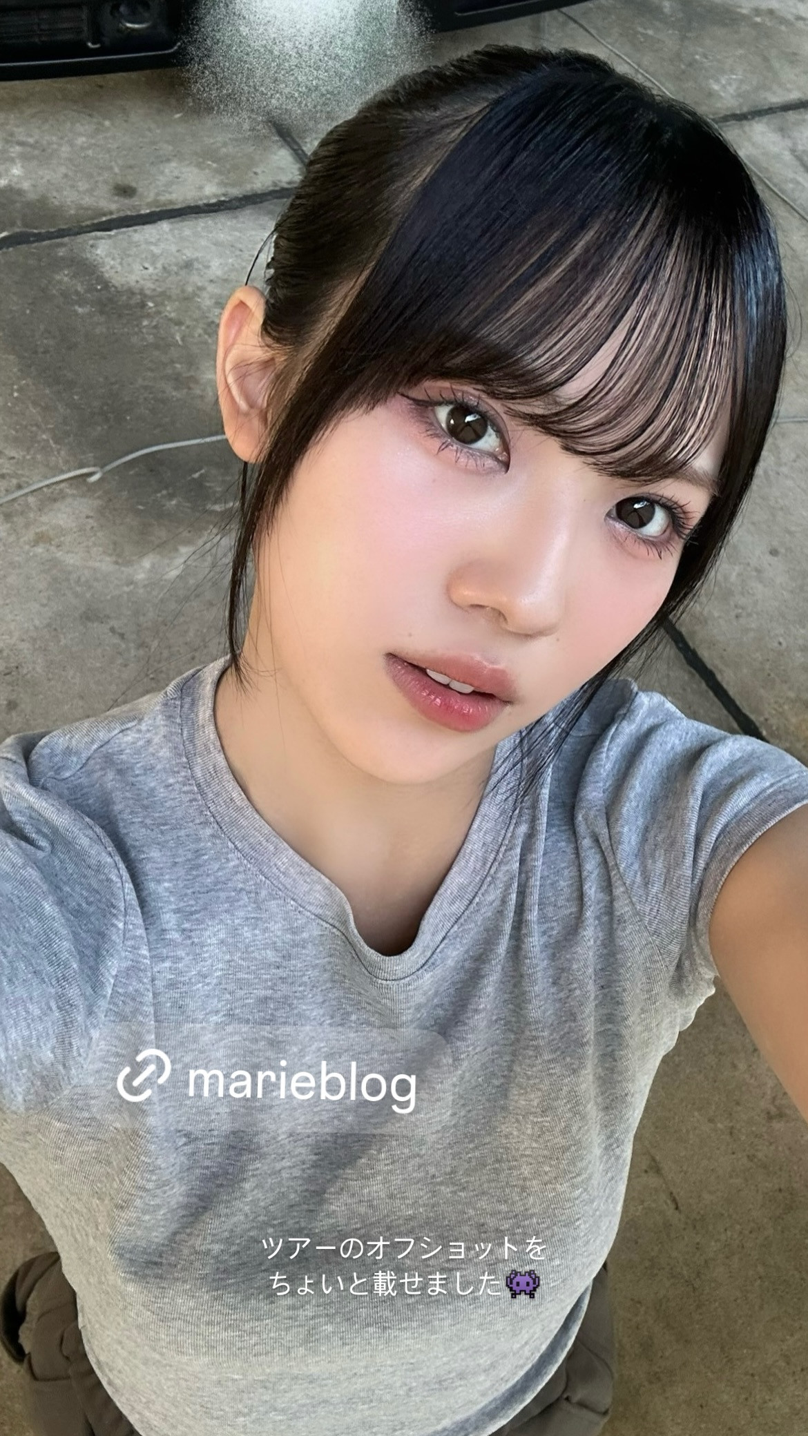 森本茉莉🐨mariegram