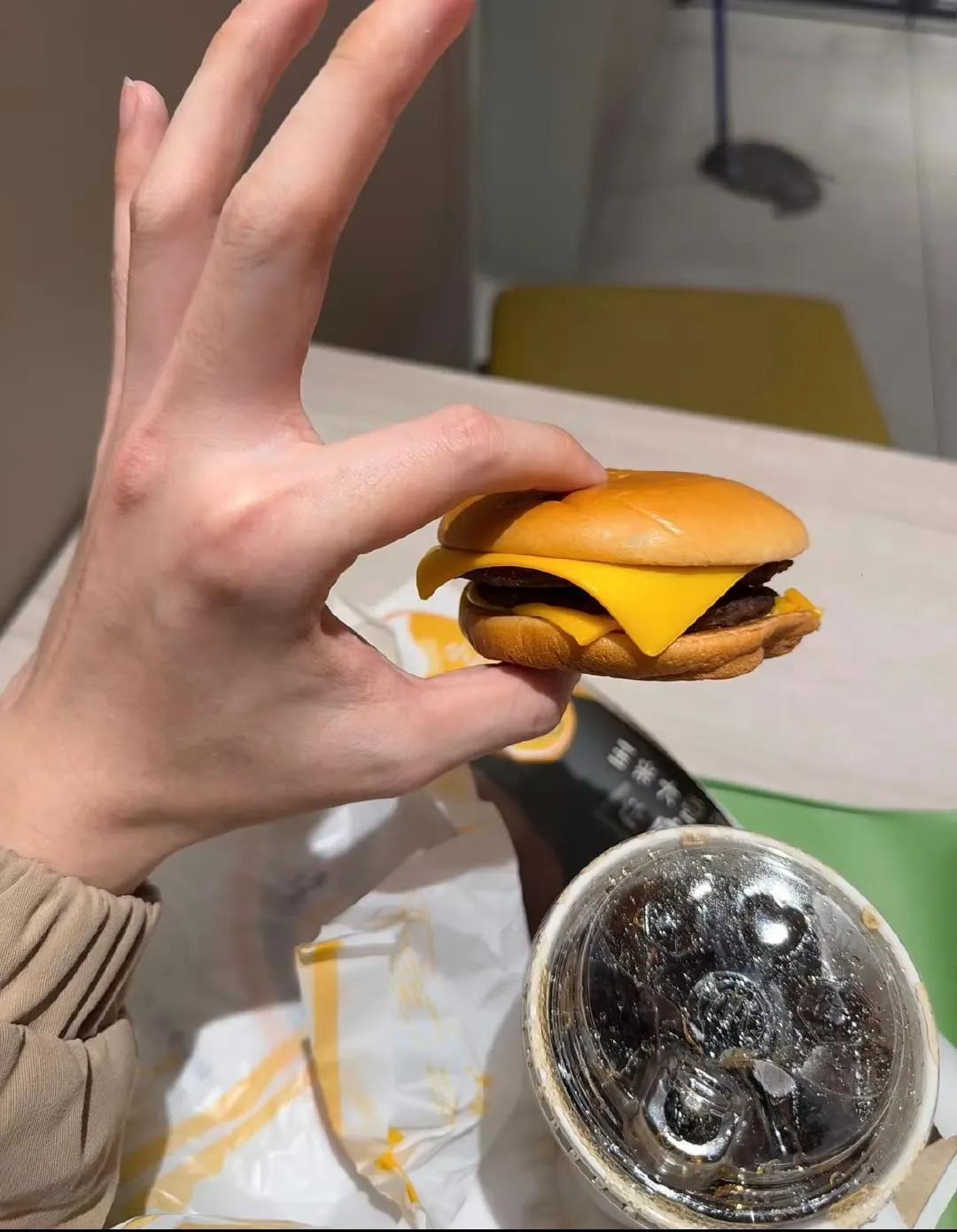 怪不得麦当劳是减肥餐！缩水的这么严重！怪不得孩子说一个根本就吃不饱！