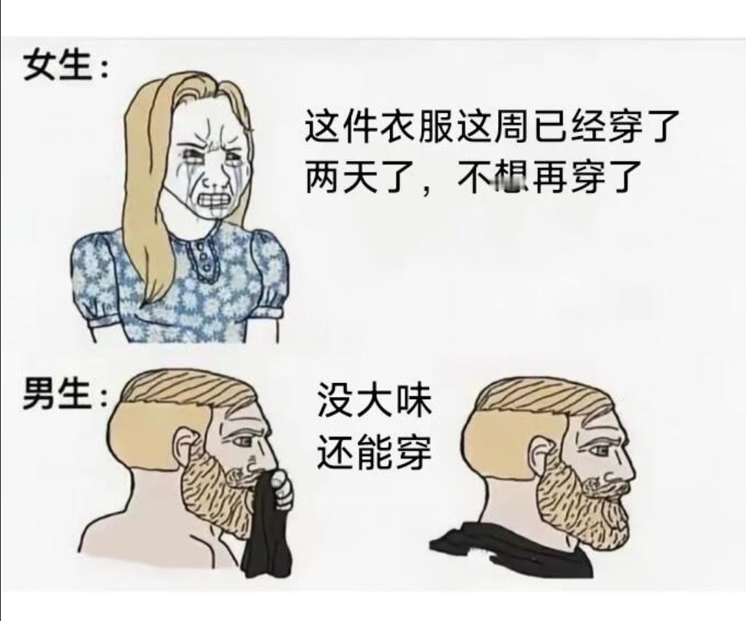 今日份meme
