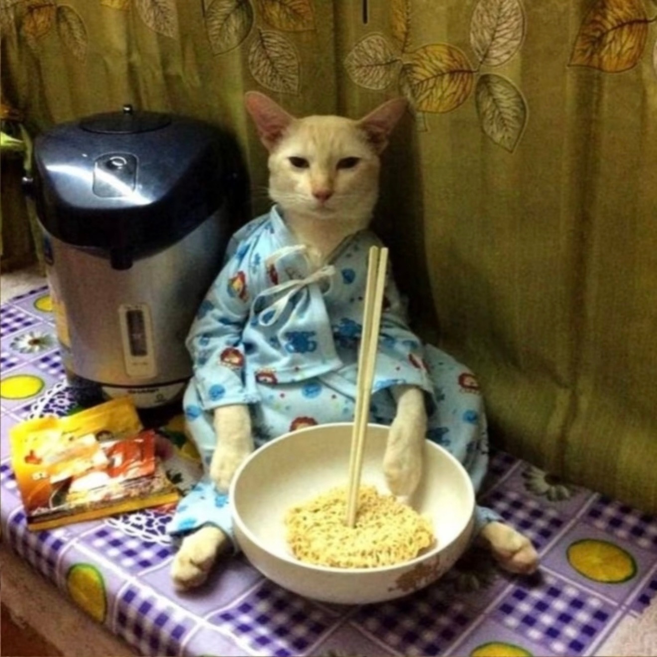 原来说的无条件对我好是无经济条件