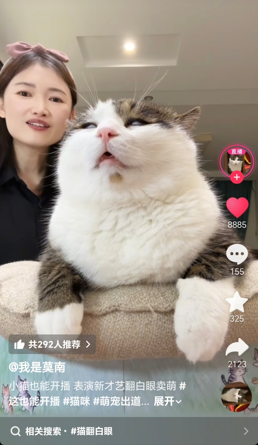 猫上班的时候也是一样的。