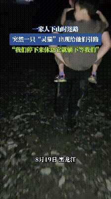 “解释不清了！”8月19日，黑龙江，一家人去爬山，结果却迷了路，天黑了还在山里打