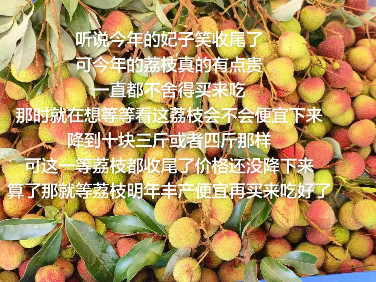听说今年的妃子笑收尾了可今年的荔枝真的有点贵一直都不舍得买来吃那时就在想等