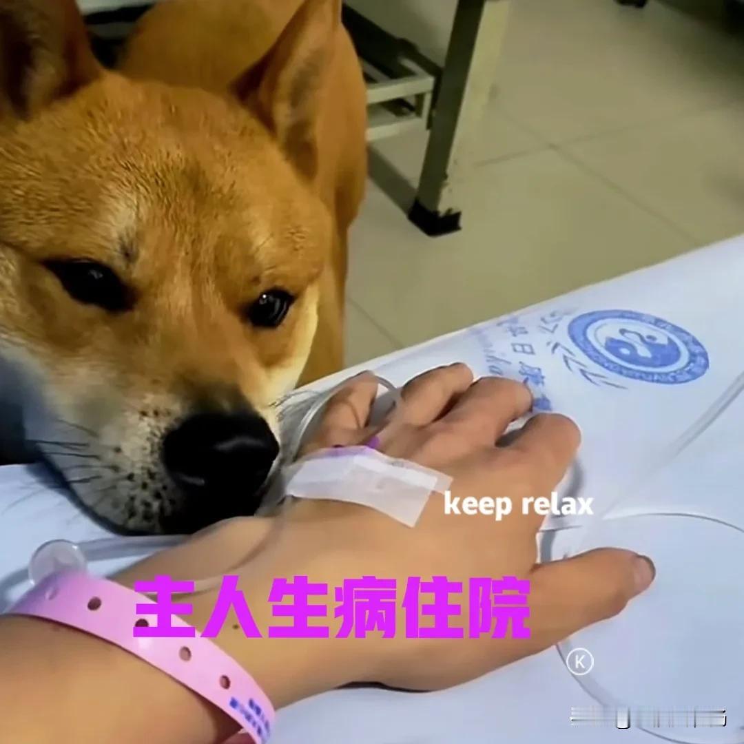 男子的身体有点不舒服，来到村上的诊所看病。经过医生的诊治，建议男子输液治疗。医生
