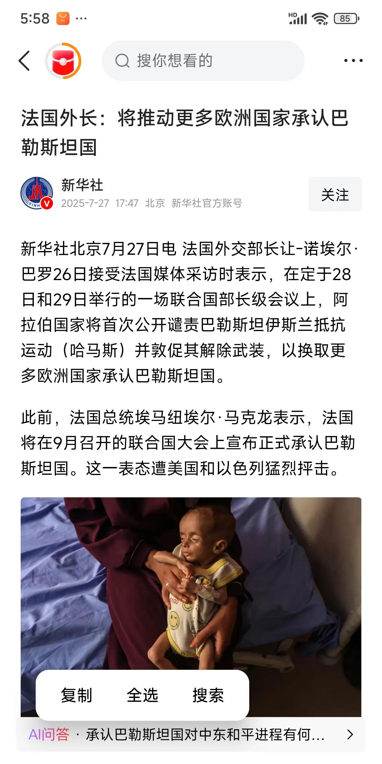 哈马斯会不会在阿拉伯国家成为“过街老鼠”？法国外长表示，在定于28日和29日举