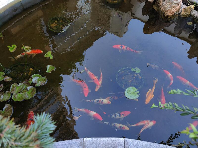 这副对联堪称绝妙！“庭院深深，寂寞枝头悬冷月”，瞬间将人引入那幽深寂寥之境，仿若