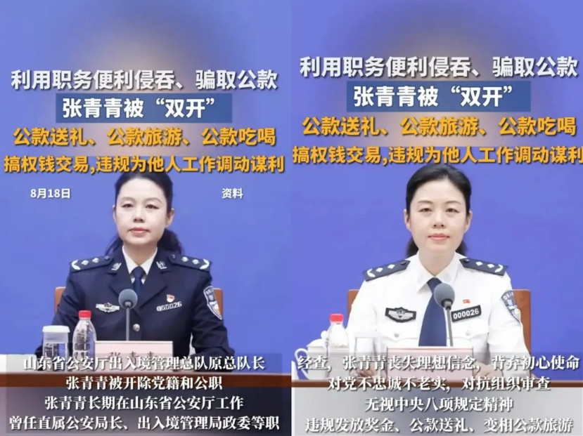 张青青这种握着权、站得高、不缺钱的警官，竟然能把自己活成老百姓最恨的样子。明明该