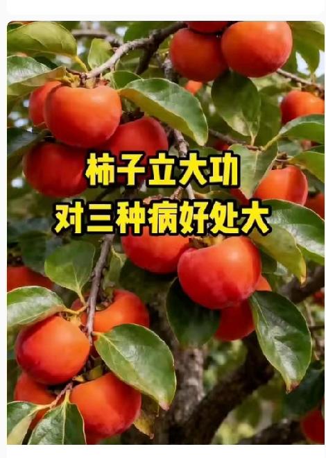 柿子立大功！医生发现它对多种慢性病有奇效！赶紧试试糖友不敢碰柿子？新发现：适当