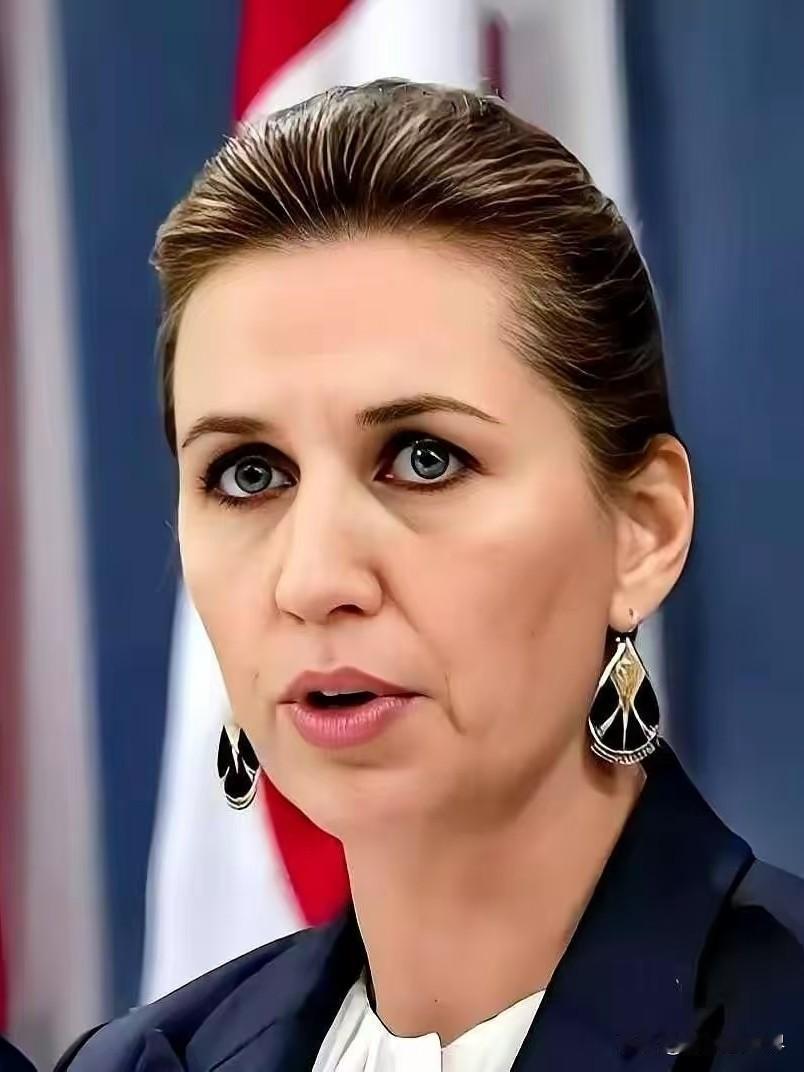 丹麦政府痛恨中国？丹麦外交大臣拉斯穆森刚从白宫回来，第一句话不是“美国你别威胁