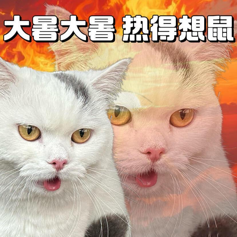 夏天没有空调的人有救了高温煎熬、房间闷热又装不了空调的快看！整理一堆低成本物理降
