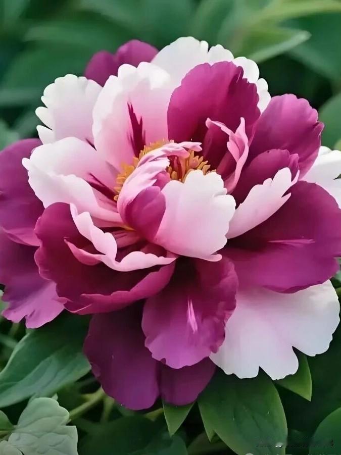 美好的清晨，暖阳初升，别辜负这温柔晨光。新的一天，只管大胆往前走。我把福气、运气