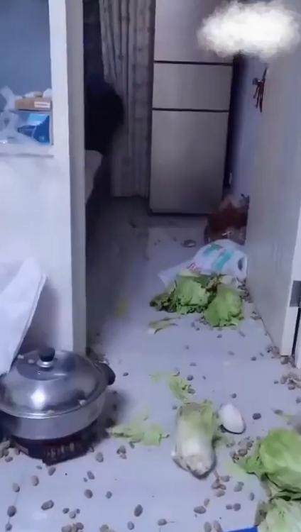 取到这样的老婆是人生的悲哀。母亲从家乡乘火车给儿子带去土特产。临别之际，儿子送给