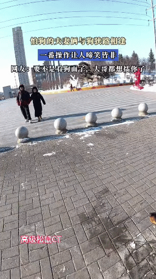 夫妻俩出门遛弯，冷不丁撞见一只小狗，俩人当场僵住，腿肚子都在打颤。狗主人一