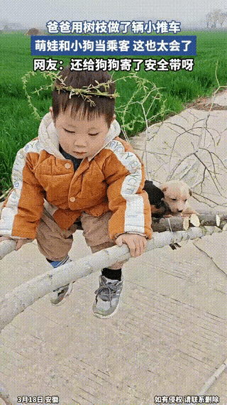 这才是童年该有的样子：没有昂贵的玩具，但有大自然和最好的伙伴，比坐豪车幸福多了。