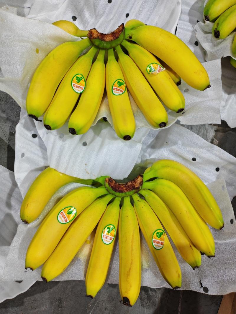 谁说香蕉只属海南、广西？这周末我去河南周口菜场我直接看懵——香蕉堆成小山，摊