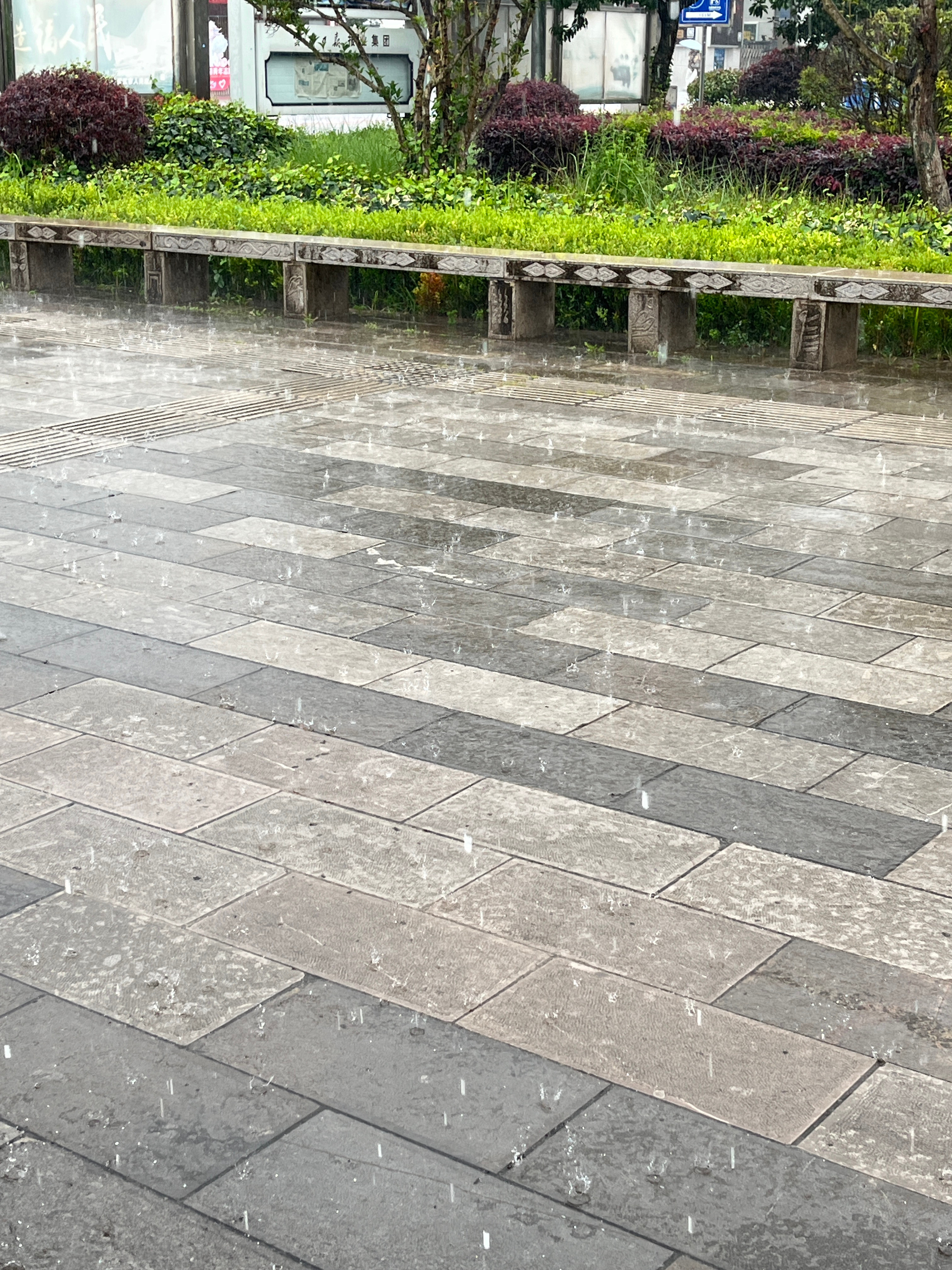 #昆明地震#从丽江出发的高铁到昆明，在高铁站的时候就是大暴雨，我们还在说，幸好我们6天5晚的旅程结束
