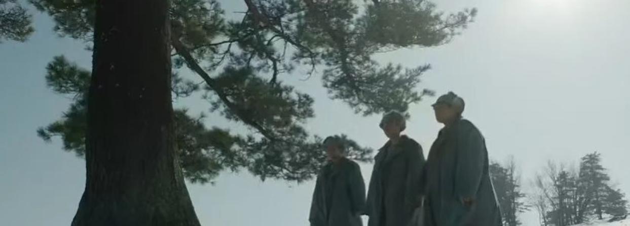 《归队》最新预告:小贵背叛，老排长牺牲，日本无条件投降，曾经的六个人，只有他们三