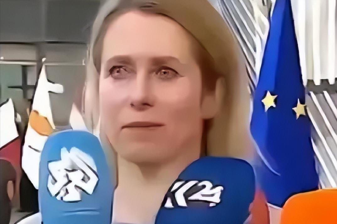 欧盟的官宣再次震惊了全世界：从今年开始，中国境内所有科研机构，全都没资格参与地平