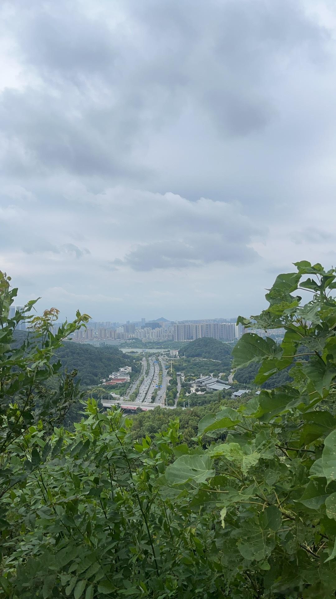 打卡岳麓山​​​
