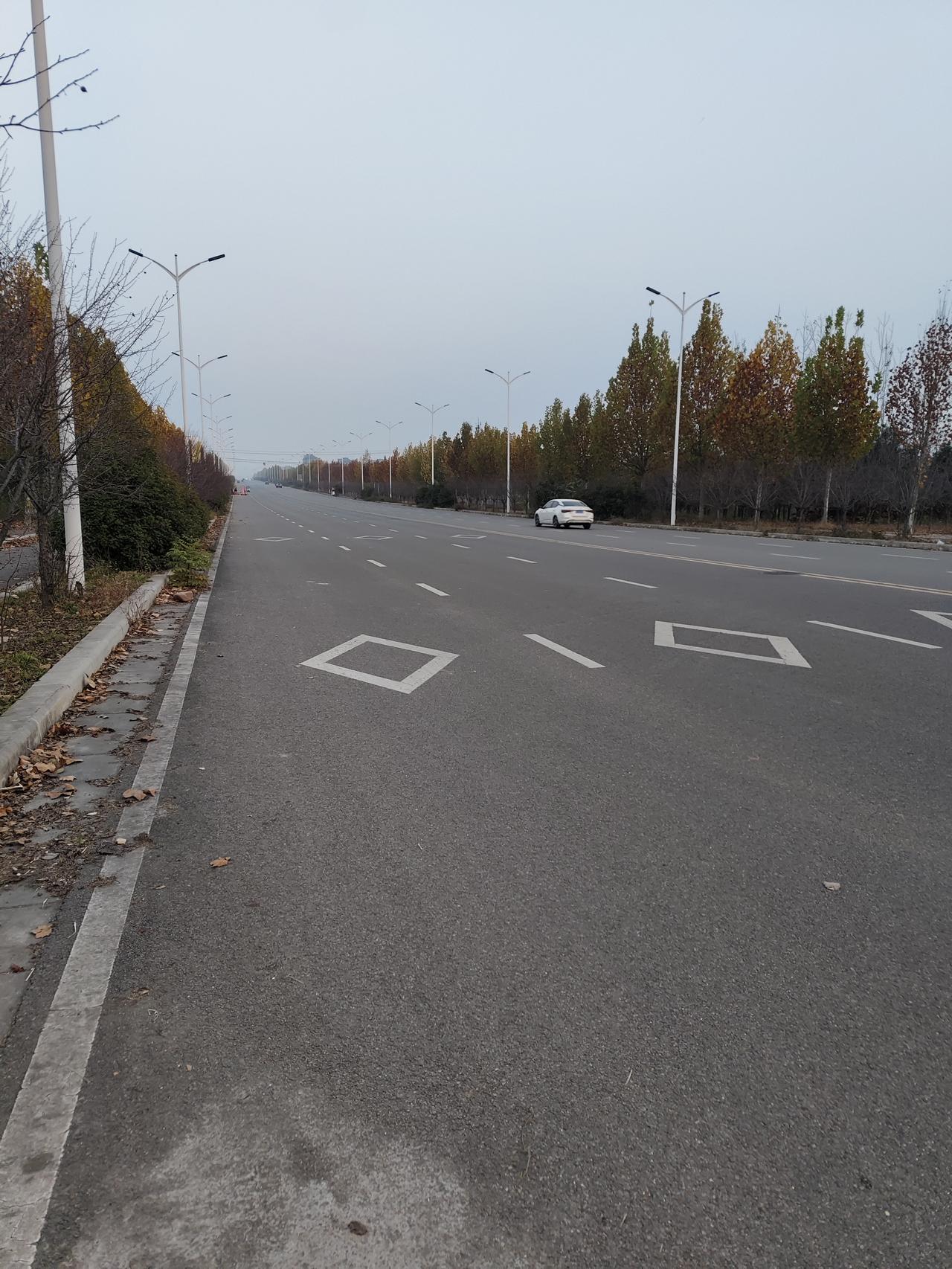 深秋的城市“无人公路”，美成了一幅安静的画清晨的城市外环，秋意裹着薄雾漫上