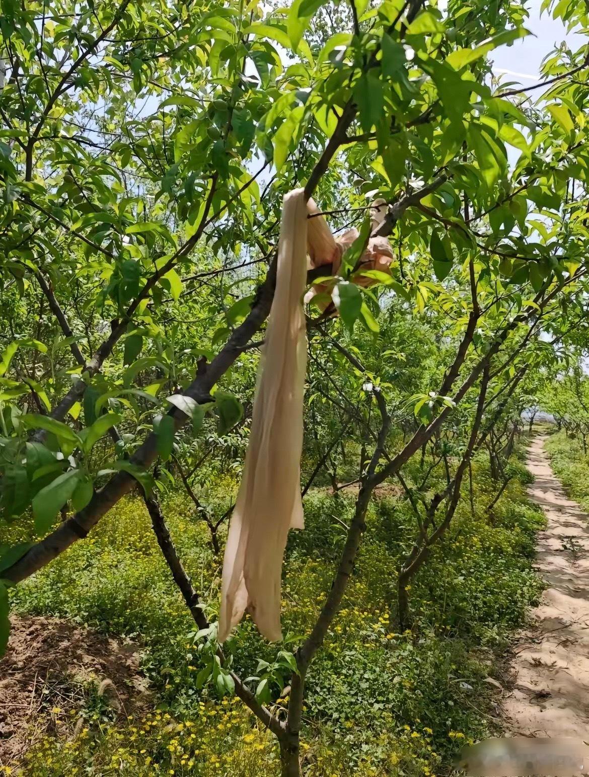 出来玩这是什么情况