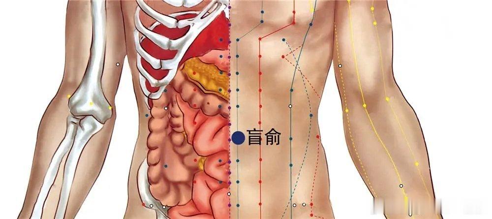 【三伏即将来临，排寒，记住按一个穴位就够了！】三伏快到了，我们也都知道，这段时间