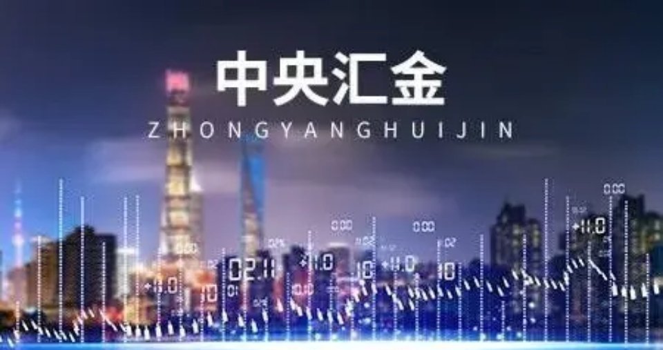 国家队持仓曝光！中央汇金重仓的8只科技龙头，细分领域全是王者1. 海康威视（00