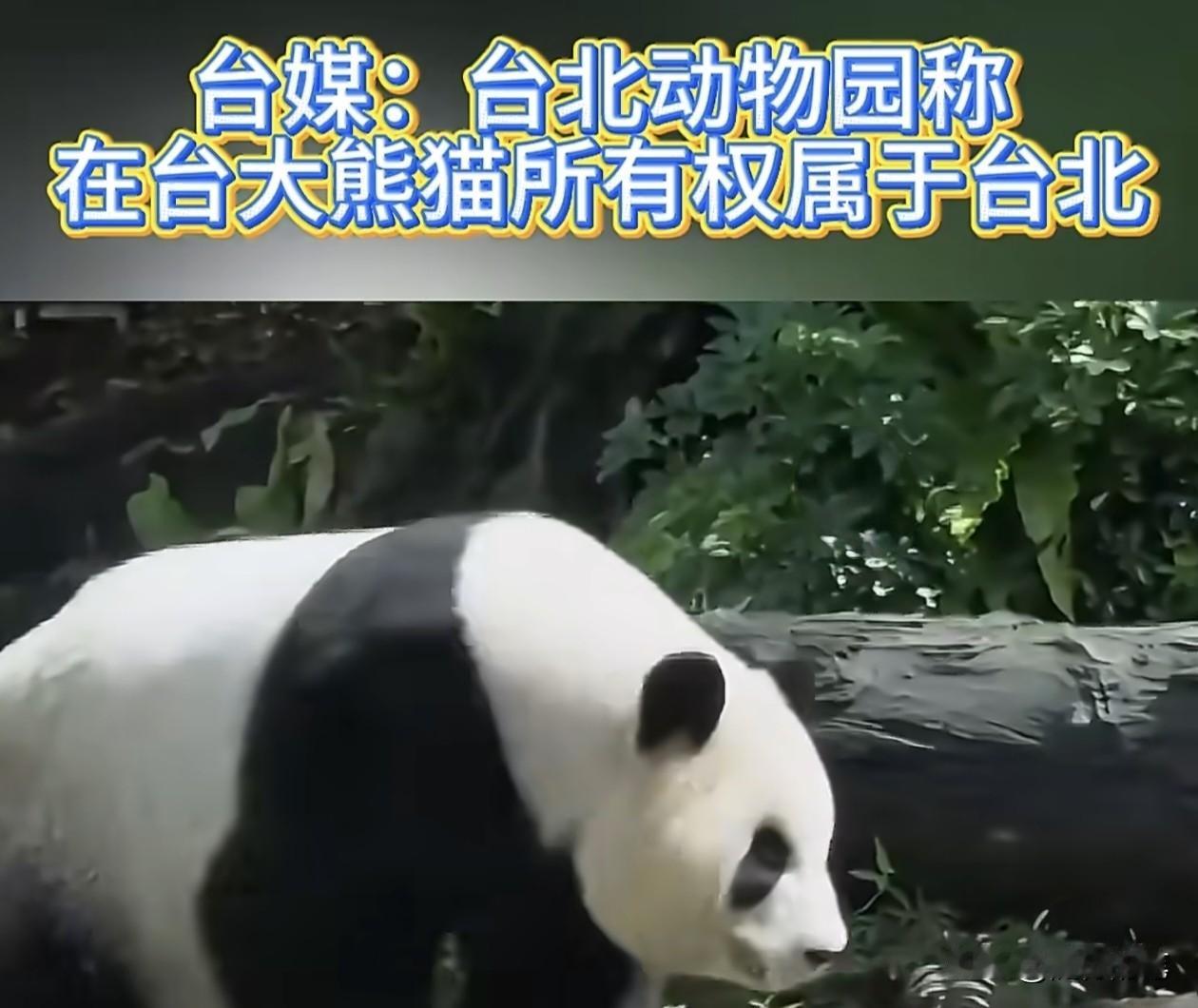台北动物园强调在台的大熊猫所有权属于台湾。台媒关注日本议员要交换台湾大熊猫的
