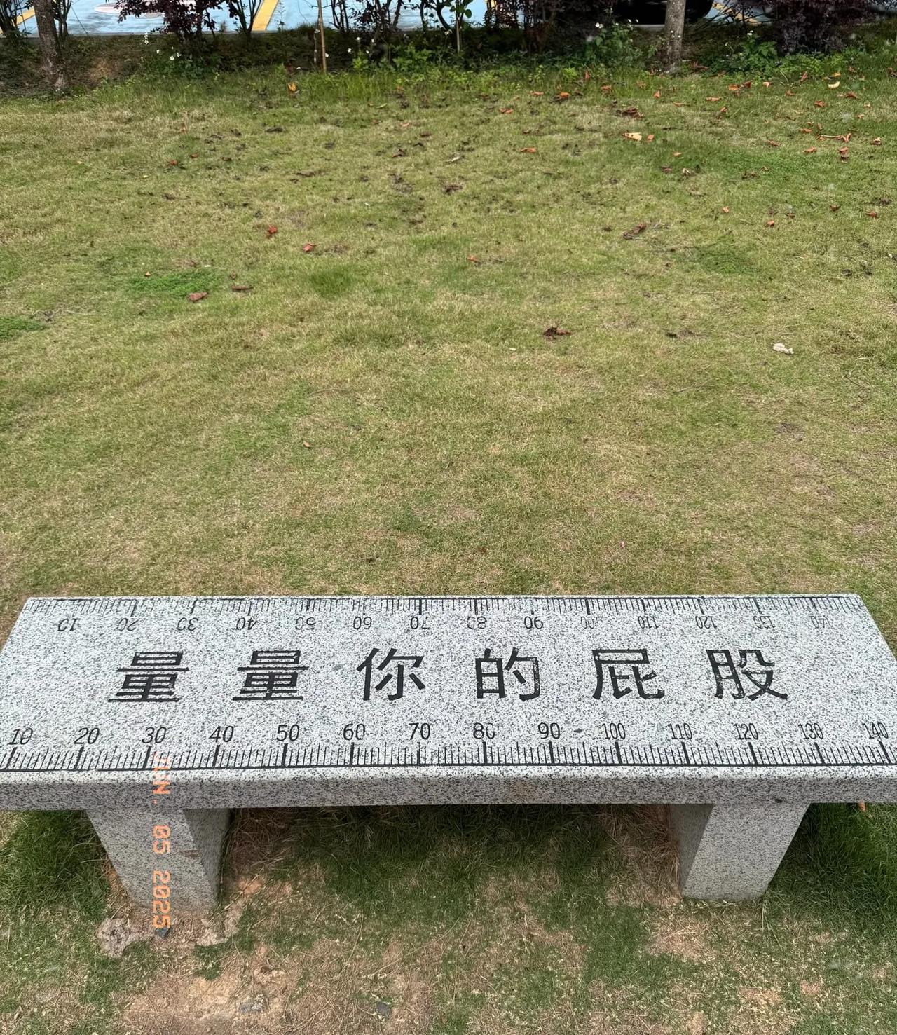 蒜鸟，你肯定觉得没有意思。却多冒昧又让人忍不住想坐一下的石凳子🪑有什么用？？