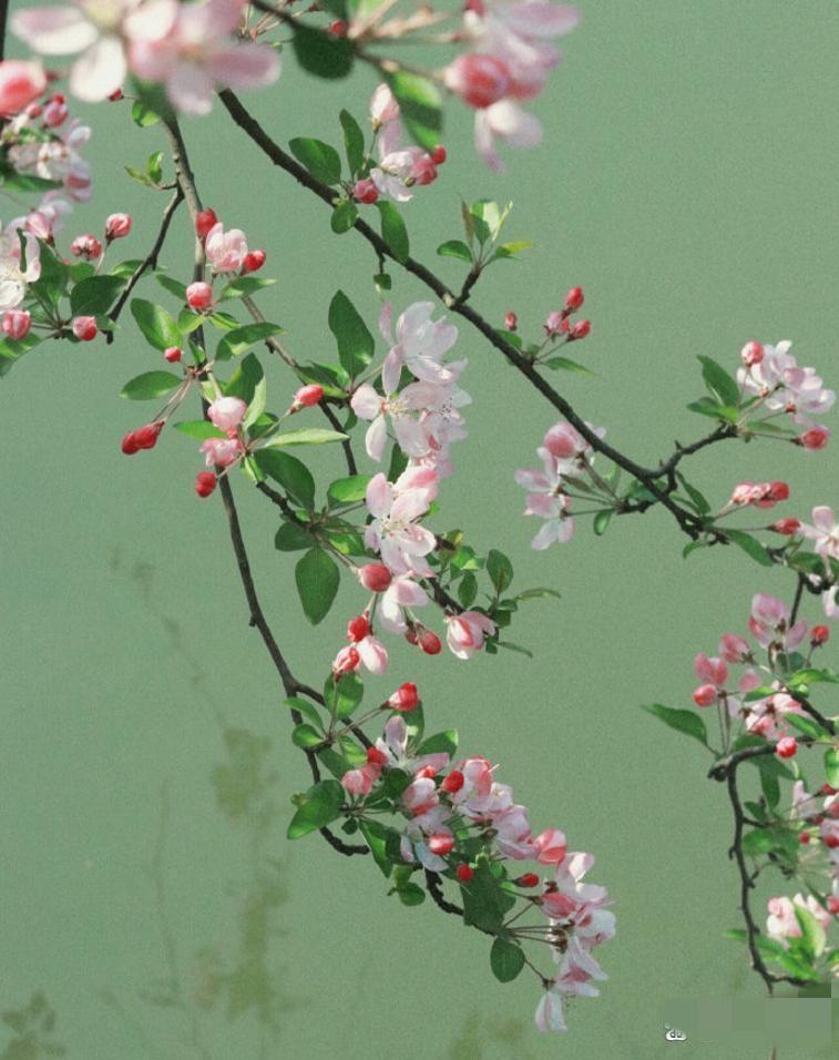 人到中年才明白，夫妻一旦背叛，晚景注定不平凡？说真的，很多成年人都幻想“日子