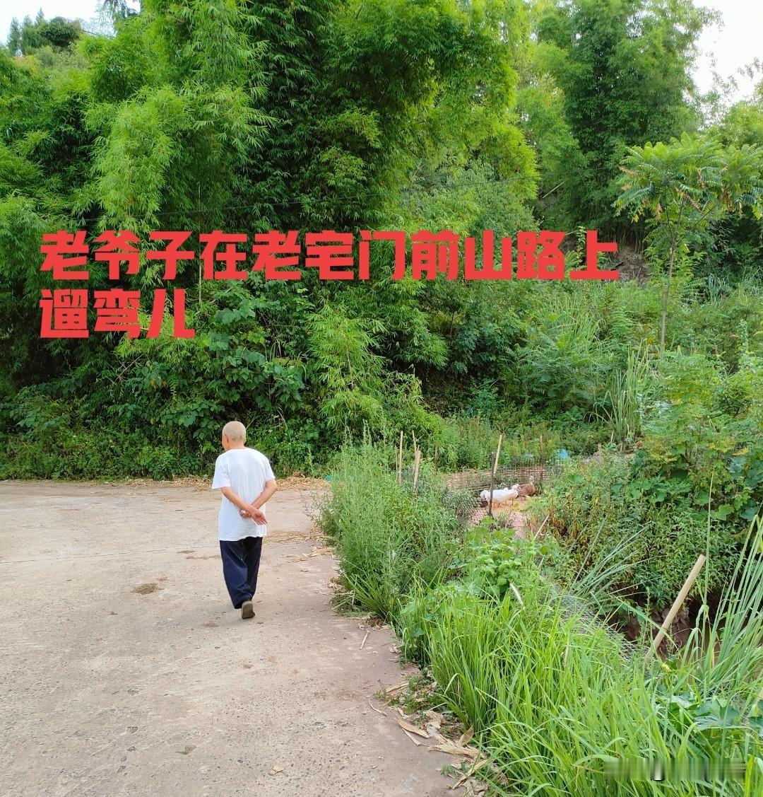 从走路姿态看老人是否长寿老人会不会长寿，从平日里走路的步伐体态上，可见一斑。