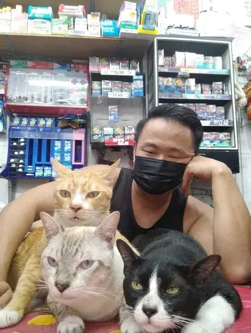 店里出现了老鼠，猫3天都没抓到，于是主人放监控给它们看.....​​​
