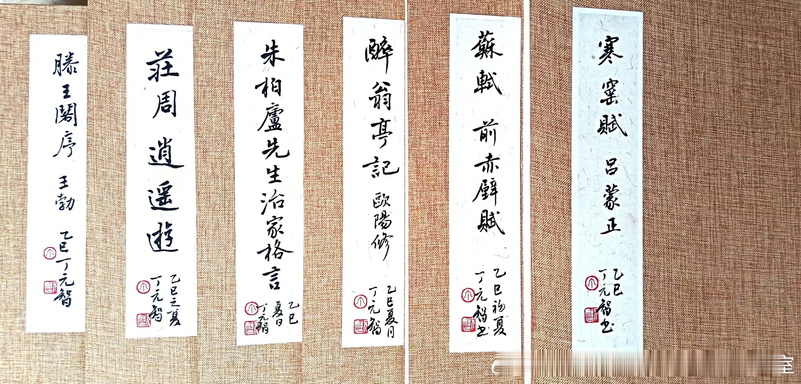 丁元智老师书法作品。册页《醉翁亭记》，《朱柏卢治家格言》，《滕王阁序》，《逍遥游