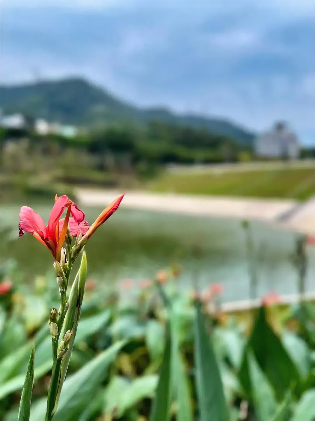 30元不多，20元不少，人对钱的态度就是不同。我们四人一同到乡下去吊孝，去找熟