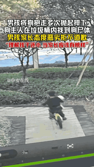 温州男孩摔狗事件，骂狗主人没拴绳的和骂孩子残忍的吵翻了，但最该警醒的根本不是谁对