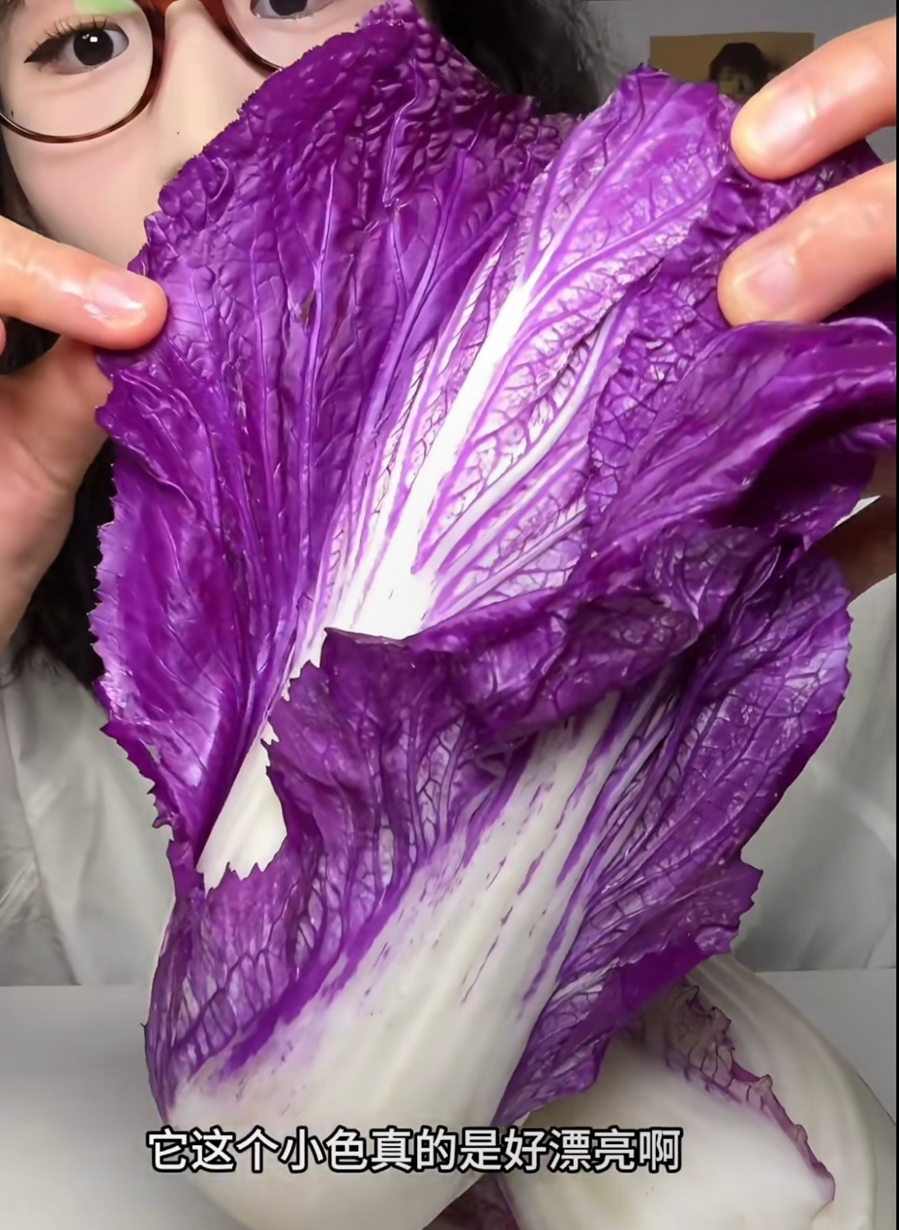 我没救了看见P1的第一反应就是：这不逆水寒变异白菜嘛！！逆水寒手游​​